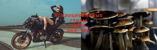 тгк Аркадак