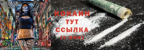 твердый Алзамай